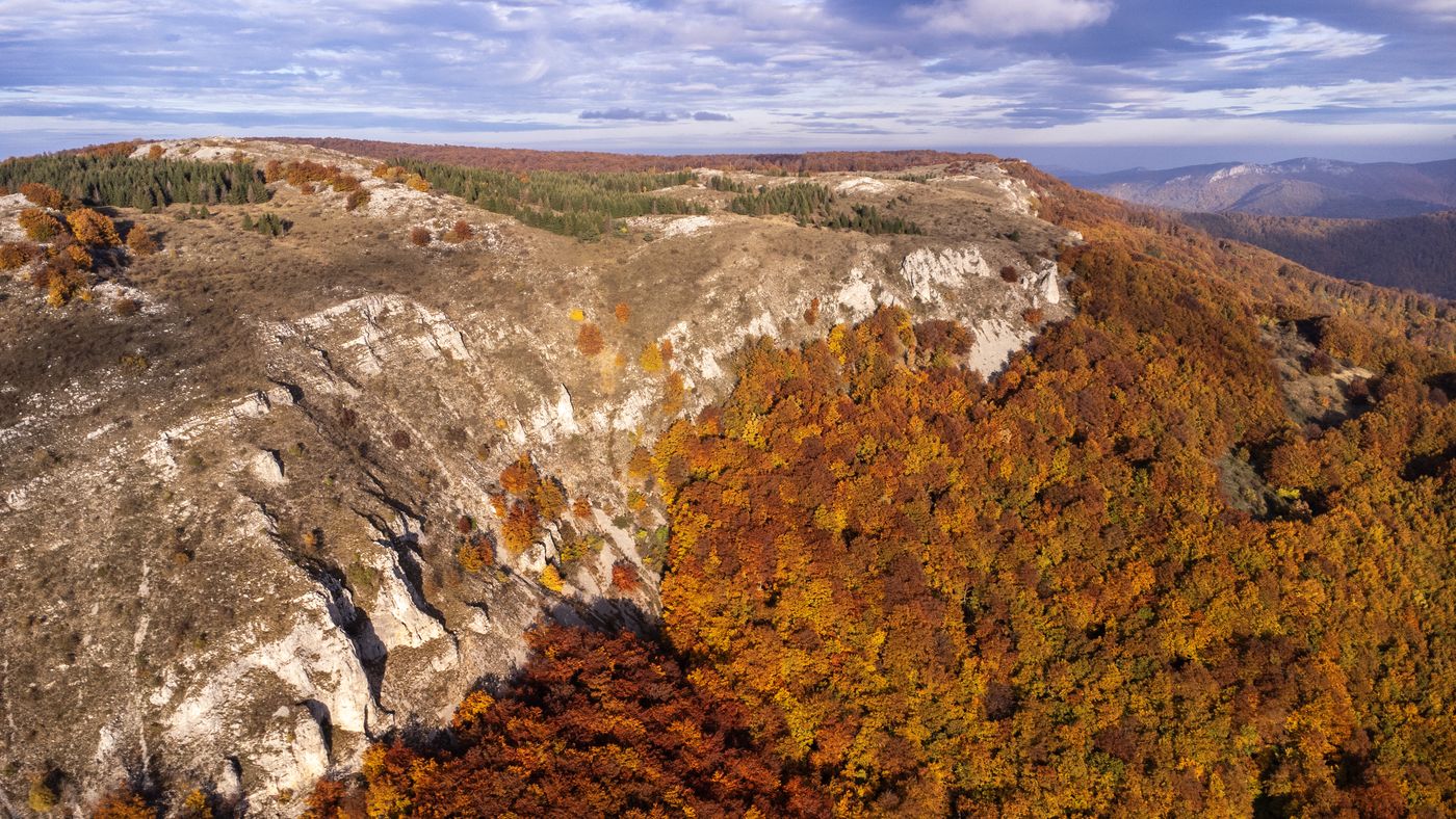 Krečnjački greben iznad jesenje bukove šume Beljanice, snimljeno iz vazduha